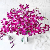 Soft Touch With Orchids